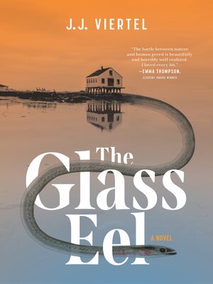 cover image of The Glass Eel